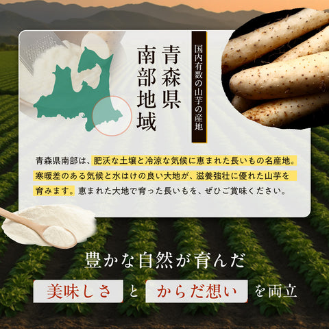 [100% Aomori Prefecture, Grown on Our Own Farm] Yamaimo Powder 100g | Additive-Free, Fine Powder, Thickener, Potato Starch Substitute